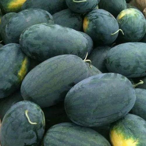 swag黑料吃瓜,娱乐圈吃瓜群众的狂欢盛宴